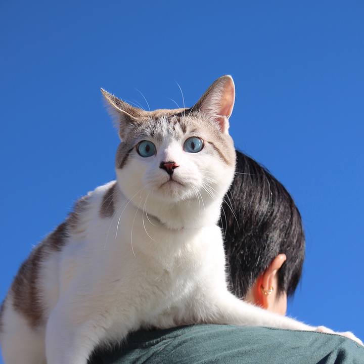 A4a334df 2f40 45e4 b8db 370d4950fc6d 1647687467176