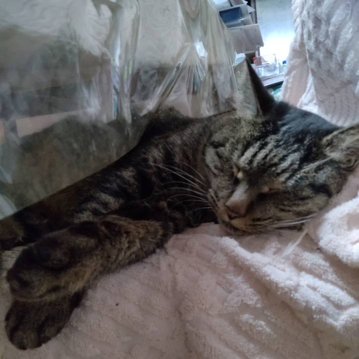 A4a3a26b 619b 4eca 85d3 a556d6af3e46 1669725613545