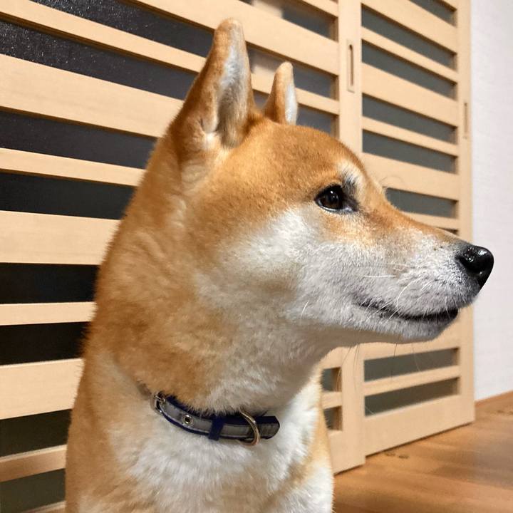 A4a3b77a 68ce 496f 9d5b 120c7a2c0cfd 1677751035748