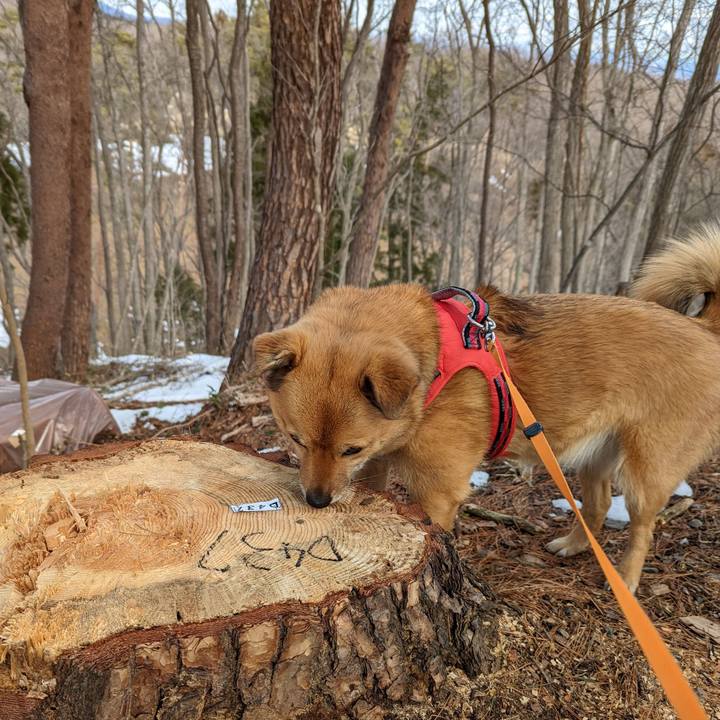 A4a3f6af 2e90 48ce bfad 2b9e416c54b1 1644837875489