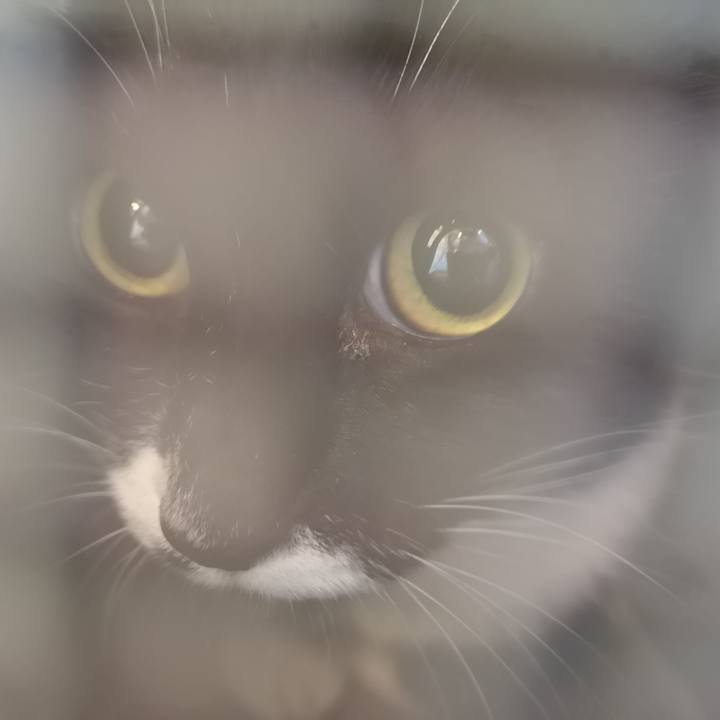 A4a3fa68 1de1 4b25 ae3e 29476d1ee10a 1576292401569