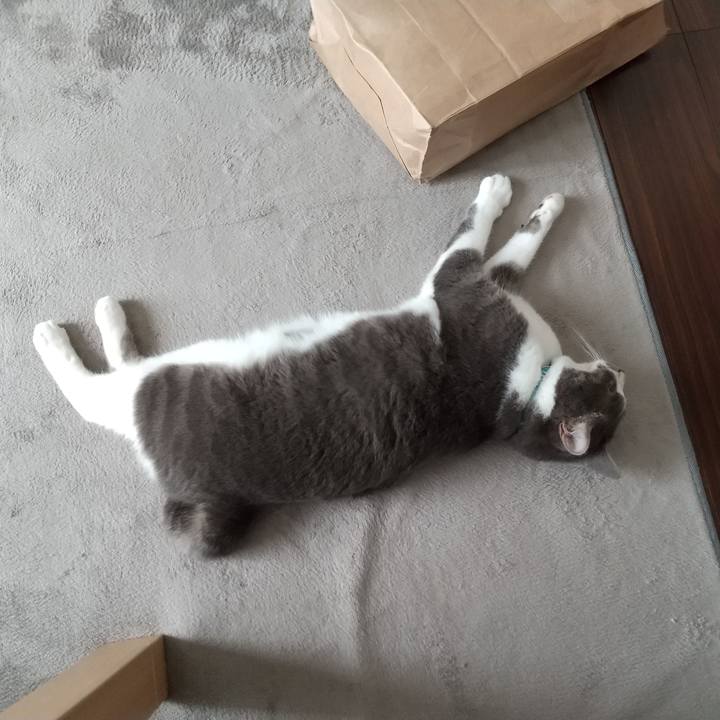 A4a403c7 5c6a 42ea a86b 1ce79795ae37 1632025283978