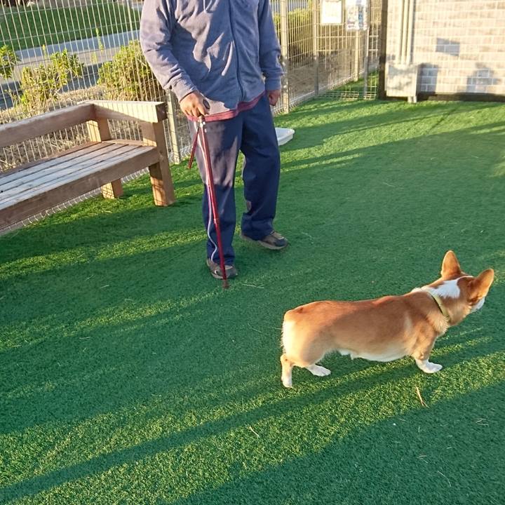 A4a41e05 314e 49c0 8f03 b0f5ecec79ed 1572938394640