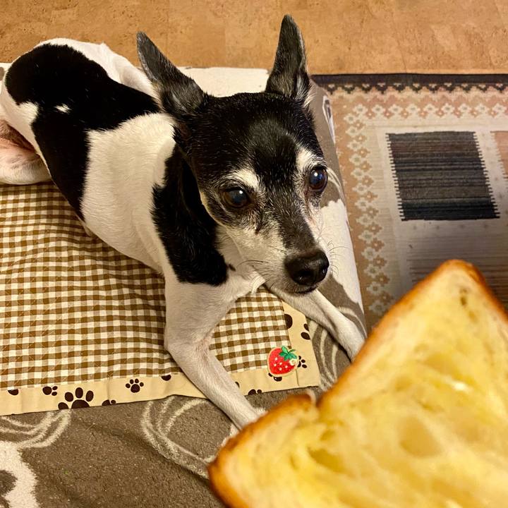 A4a48b8e 0412 4e93 8085 bc151c415c32 1608761689836