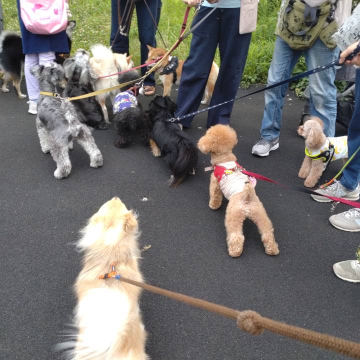 A4a4b85e 42fc 4d12 b0dc c1c03db5db19 1752294735360