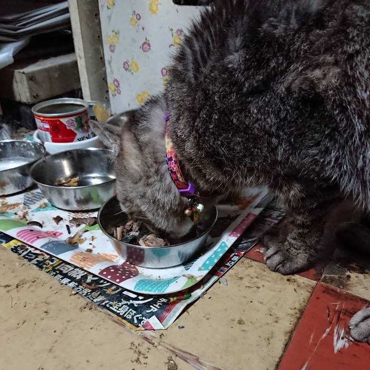 A4a4d84f 0f2a 48ff b428 90228996fa23 1592737748834