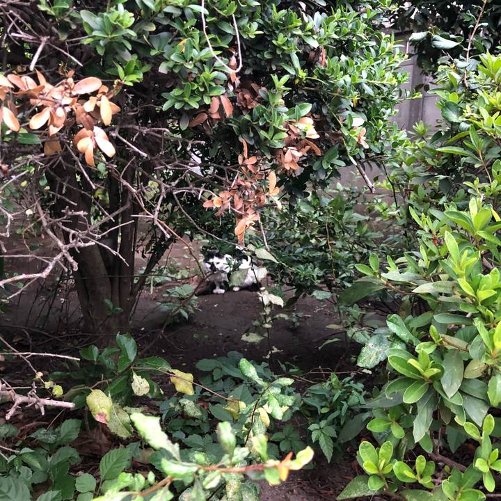 A4a50eee c1fb 416c 8ed3 a32dbe75b3dd 1536238906255