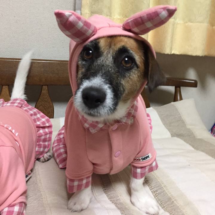 A4a518ac 2b39 4ba6 95f0 3a08be37c6e7 1541862392351