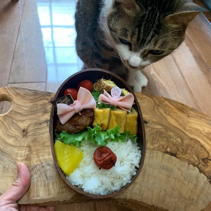 A4a555ea 343b 414b 9bcf 31ee55845691 1650318263948