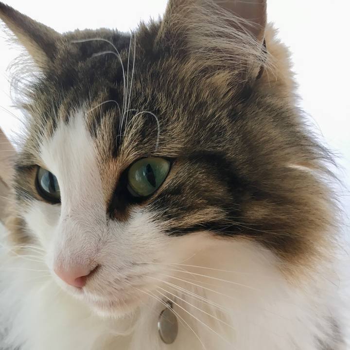 A4a5623d 61c5 4d68 a420 f2ed7b6b8cfa 1528981220638