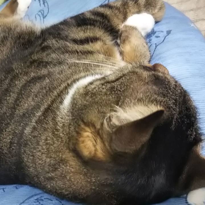 A4a57726 5e84 4ce0 b007 e25b313ffb47 1627813011361