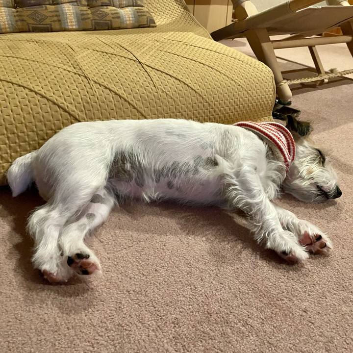 A4a580b9 6f81 4ce1 842d 3ebfb71bdcd1 1668428301173