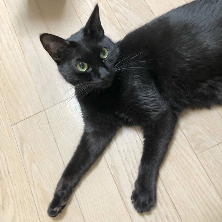 A4a5a5de 8fdc 4f5c bc20 cf8fb44f053a 1615553255300