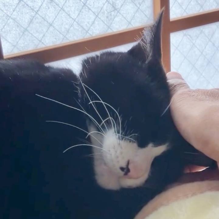 A4a5c6b6 8559 42cc 9f56 9b19163c1301 1733282511939