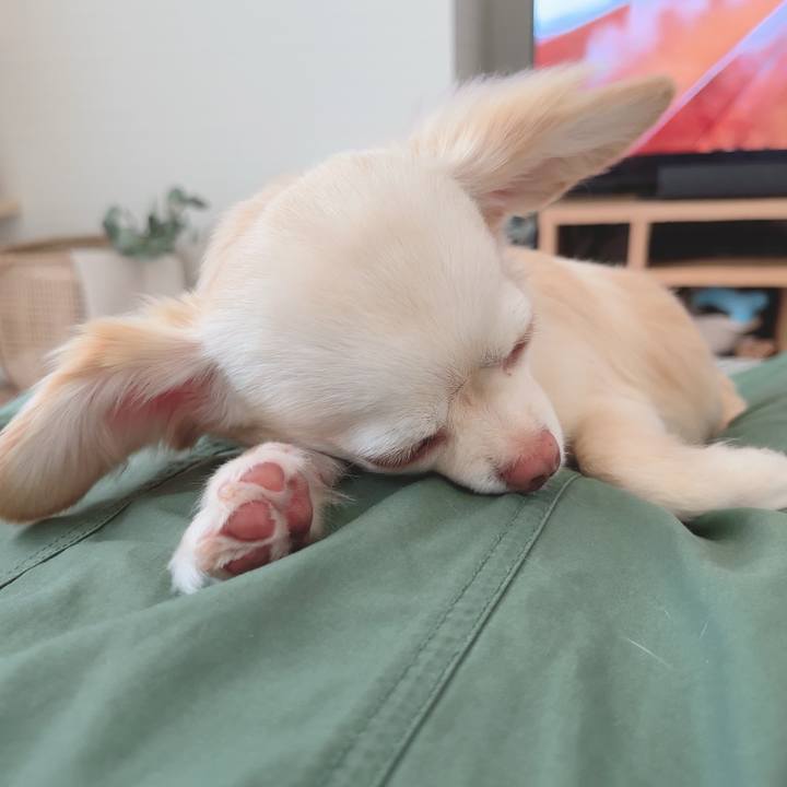 A4a60118 2275 4b39 91ca 13b896667df1 1688368037218