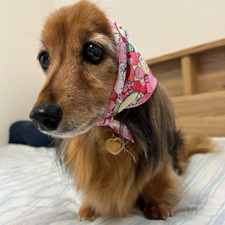 A4a63d37 6d77 4531 b579 af8c88c07cf8 1762138491477