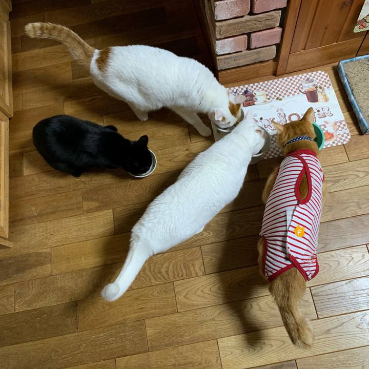 A4a65c81 c490 4bbc ba61 27c5370a1d10 1606741320112