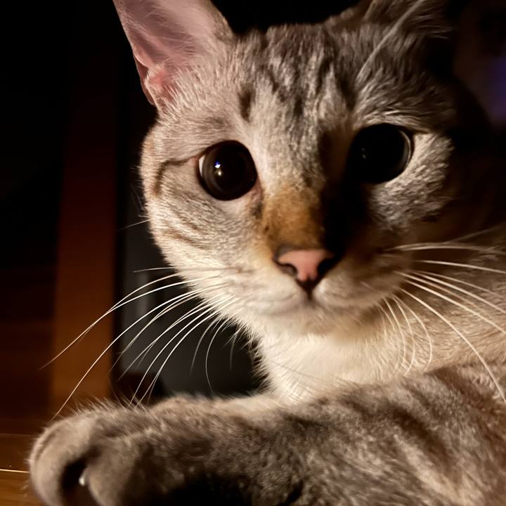 A4a66587 5718 4299 93fd 5abbd15b35ff 1753195280686