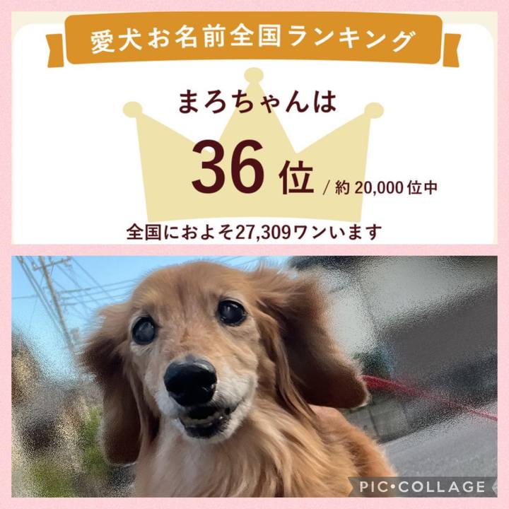 A4a6bb39 1653 4152 bc97 59604f80920f 1684587030935