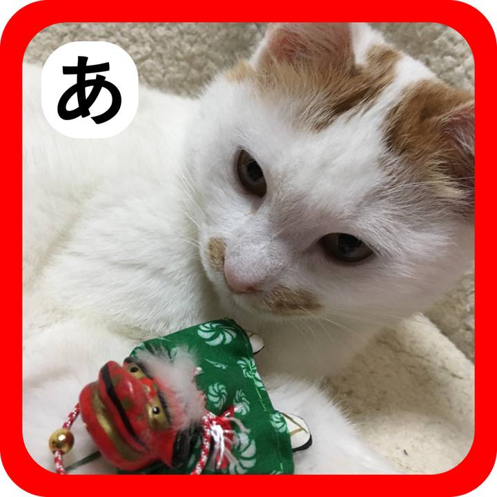 A4a6cfd4 bdd3 4362 9a6f 785ca5083159 1514813187383