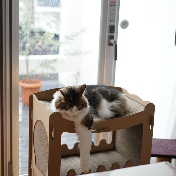 A4a6ed4b 1b71 48b9 aa17 560b7aef9eea 1574752187850