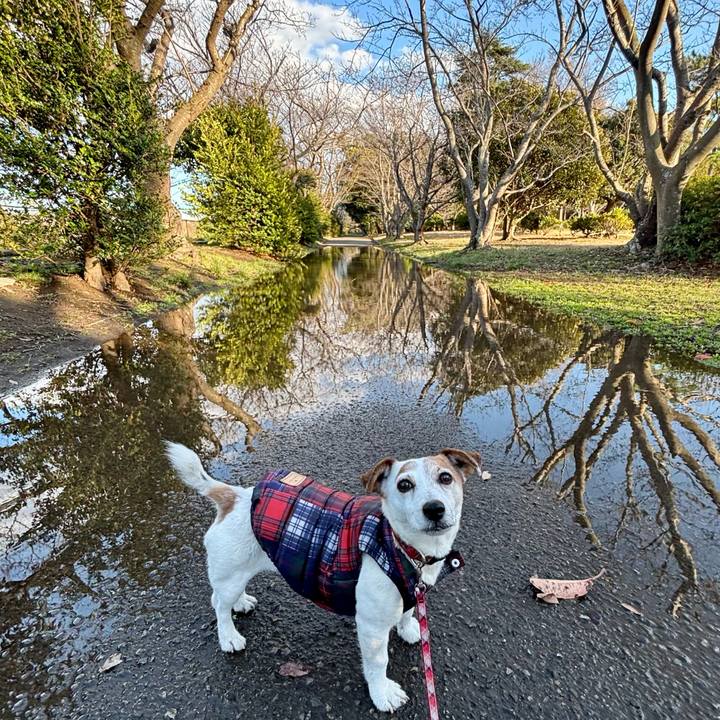 A4a6fa3c fe20 4acc b5b5 21ef58d5f8c8 1772622693906