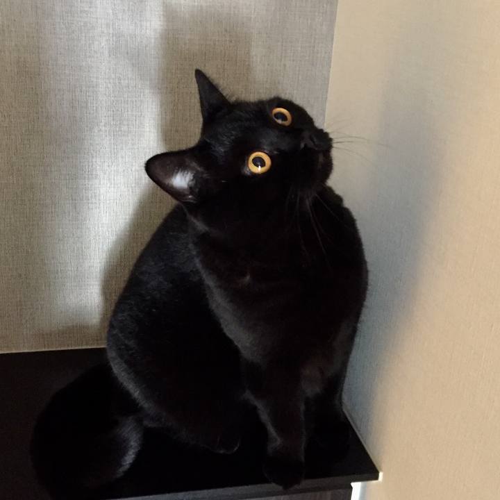 A4a720a4 4ef0 449a ab10 7df79a36b953 1572875679945