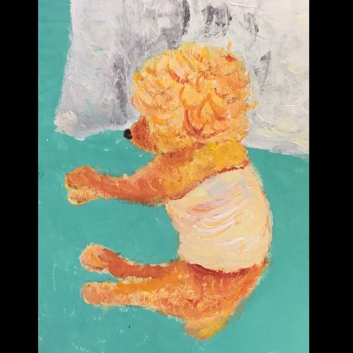 A4a73155 7d70 4de5 a359 d341ceef1b54 1582807168198