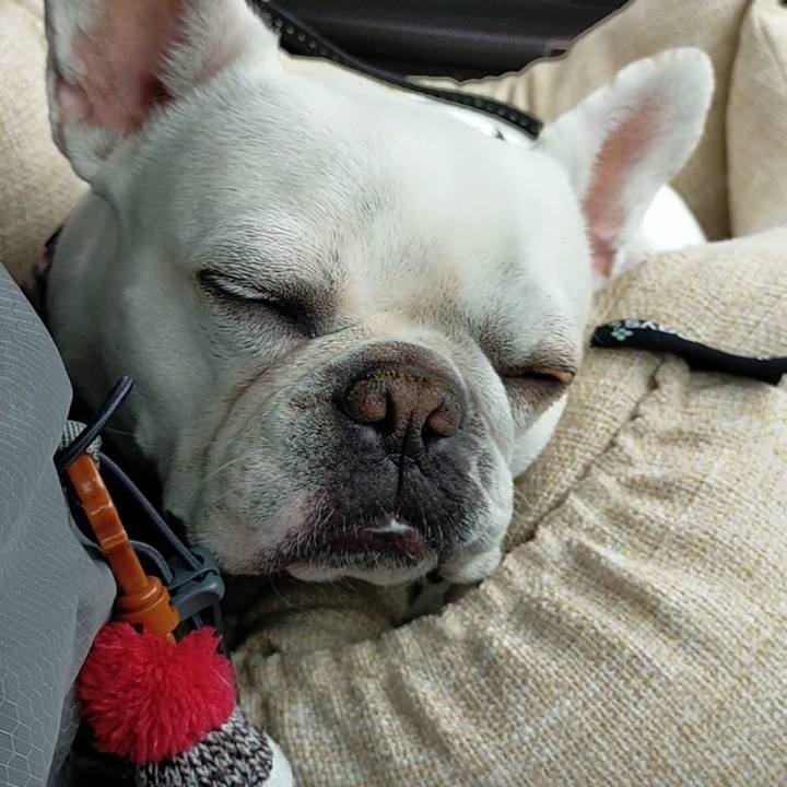 A4a74f26 80de 439e 8a1f 4721094f6547 1651998539285