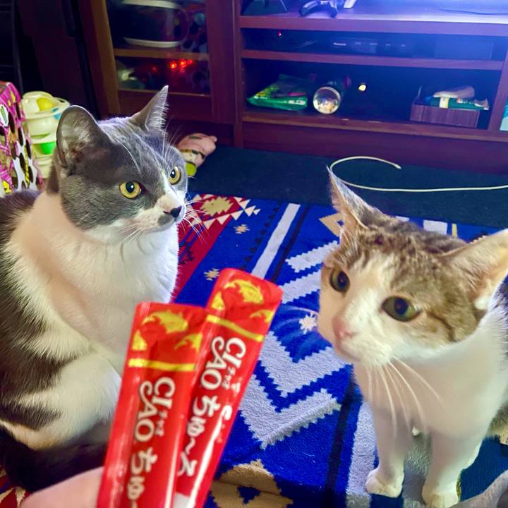 A4a7b14c 0648 4b3e 8186 11ad5c458032 1637221252089