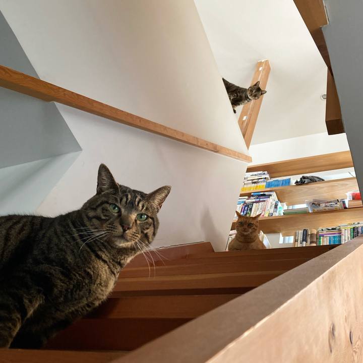 A4a7ca61 a117 4696 8043 086e1e2f566a 1676764138203