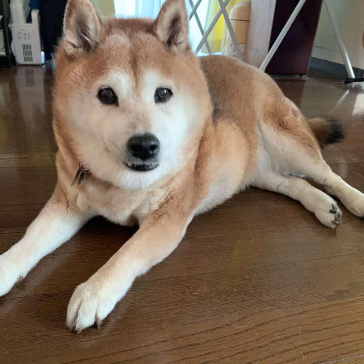 A4a7cd58 e29e 41fe a09e 9289bfc7277e 1591621372822