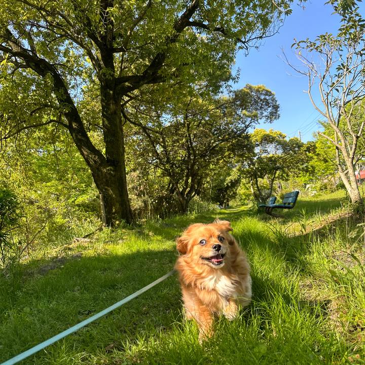 A4a7ed45 9f16 41cd a095 97de8fb44f6d 1683074571342