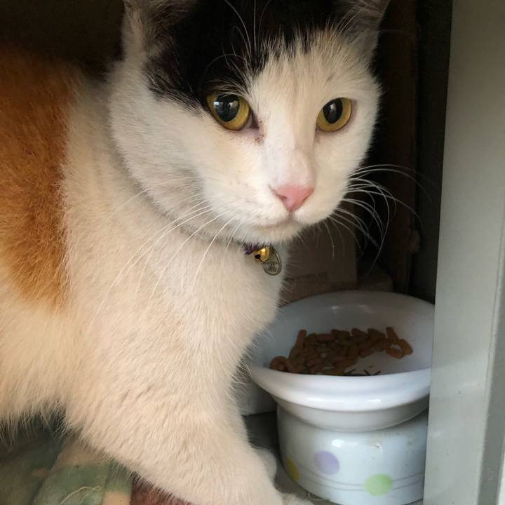 A4a8136d 262b 49aa b194 c7fa65c9d4ed 1635977079388