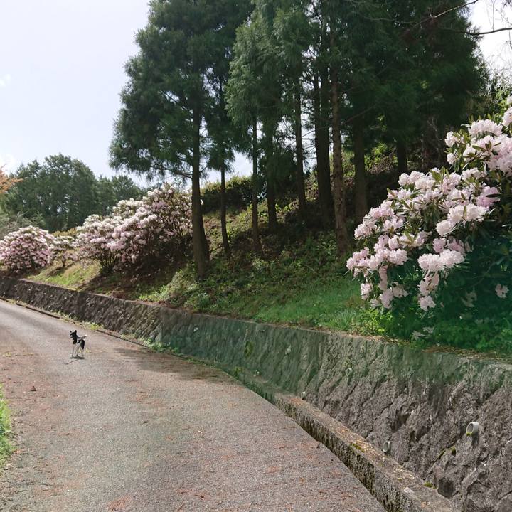 A4a88bed 2975 40ab bbb1 96010499b671 1523851949126