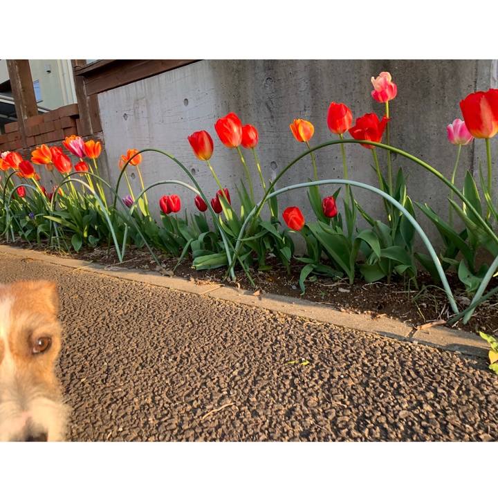 A4a88cc4 058d 4ef3 be4c 4854c4ade303 1587812499977