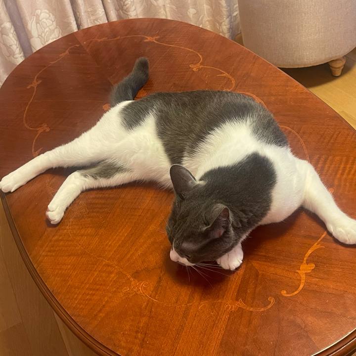 A4a89159 214d 4a9c 85ef 06de377f4e55 1634458456139