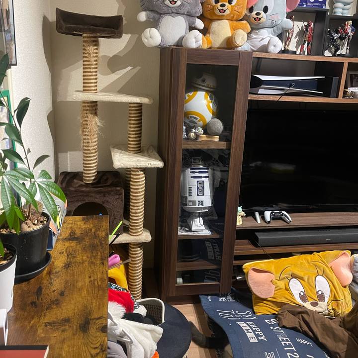 A4a8a79e cd1d 4539 947a f42a0bed6257 1737967350890