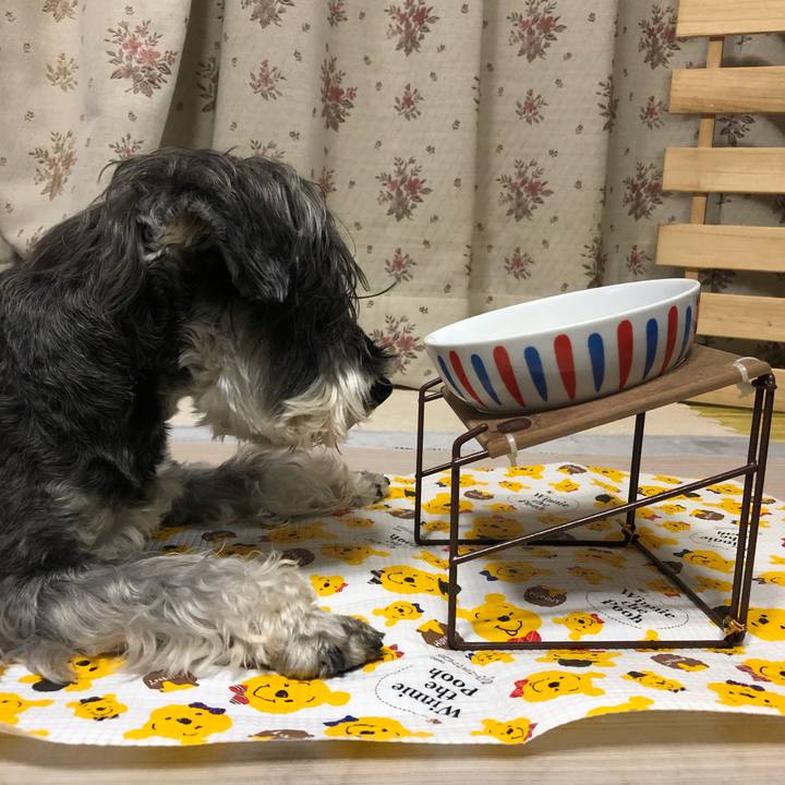 A4a8bbf5 916d 4993 8dfa fe0346653fb6 1650629678231