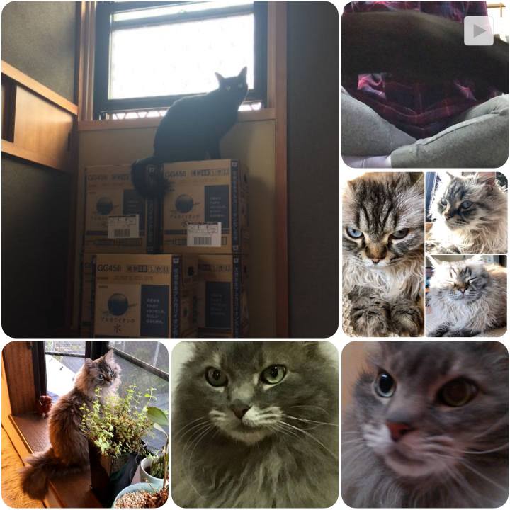 A4a8e02a fa5d 458e b94d e4bc25249e59 1555720036726