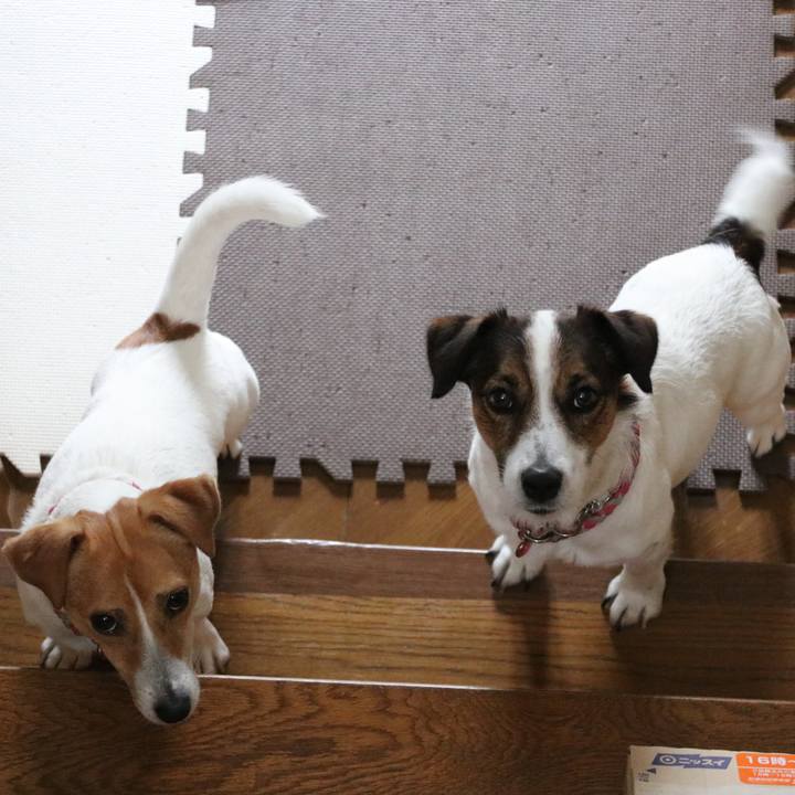 A4a8e3cb bc4e 4b03 899c 70853a791dad 1527387635045