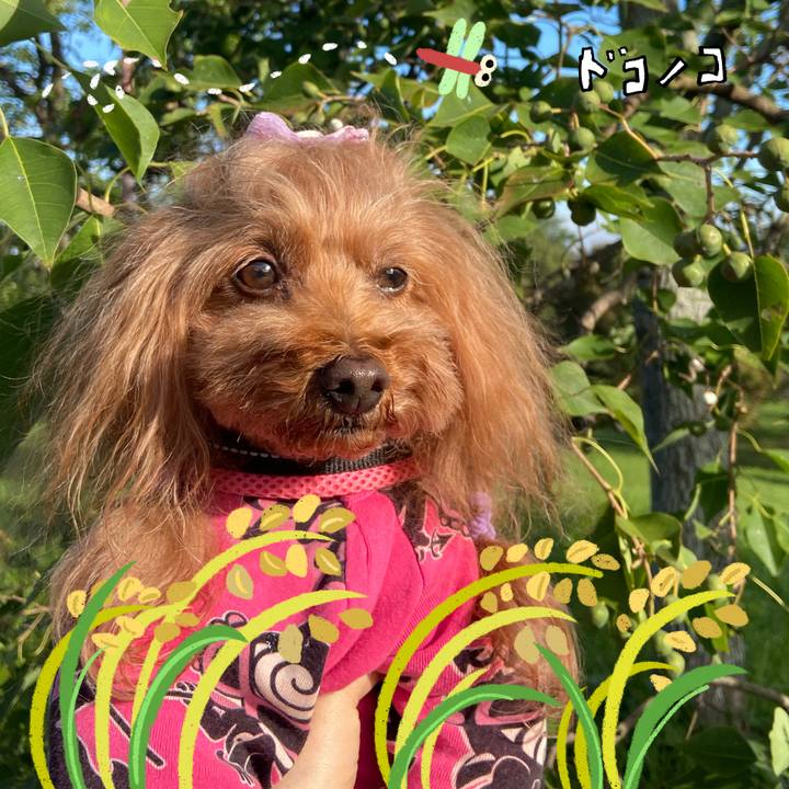 A4a8f9d3 732f 4853 9e87 927d729b51d8 1761785403148