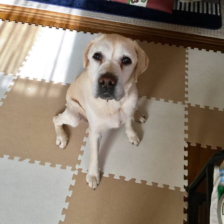 A4a92f2e 6ed0 4f74 9f2c ccbe3ac6708f 1525039820577