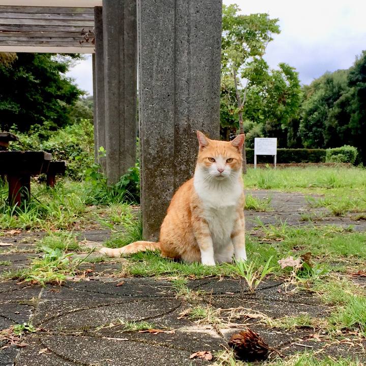 A4a931ac e334 4615 9298 4b5982e42512 1569047414380