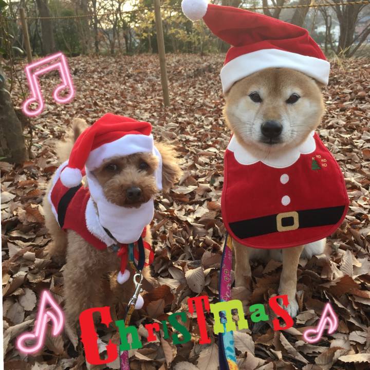 A4a95301 06ce 4525 82db 034da2ab2ae5 1513409172042