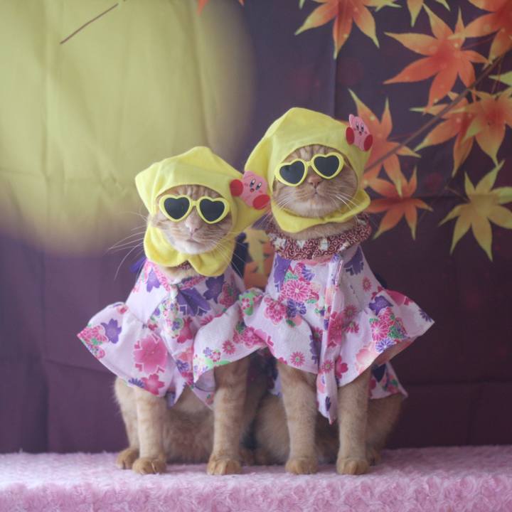 A4a95e1e afdc 434e 899b 2f34abeb9270 1726562658059