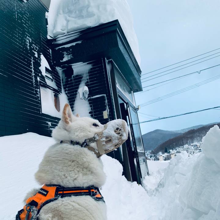 A4a97b18 9e86 4f0f b6d9 0d43575b4f7f 1675291417649