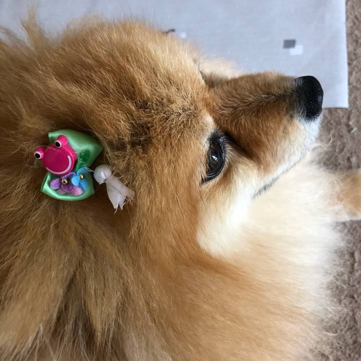 A4a97be5 b98c 48e9 acf8 9b5026fe46ab 1561508144995