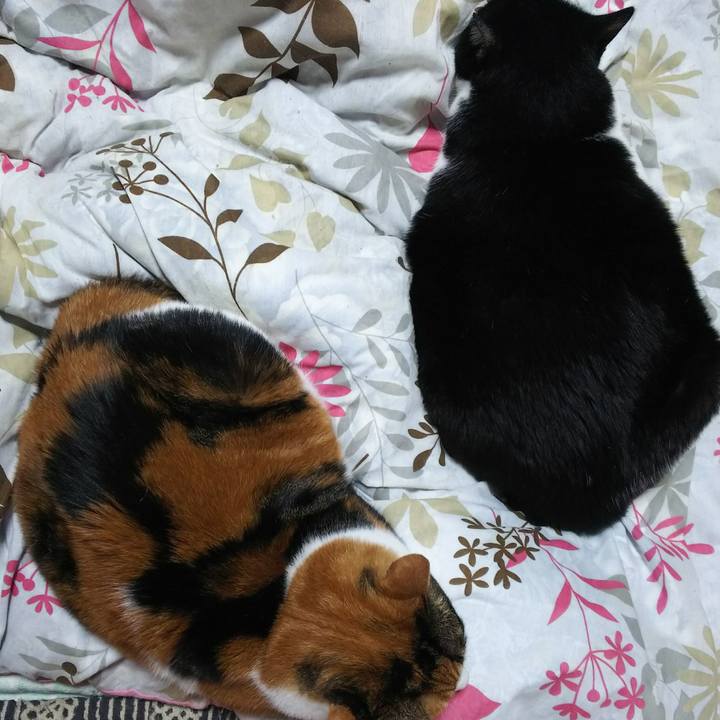 A4a98f28 7b21 45f8 a985 df78f1b06c85 1543096268135