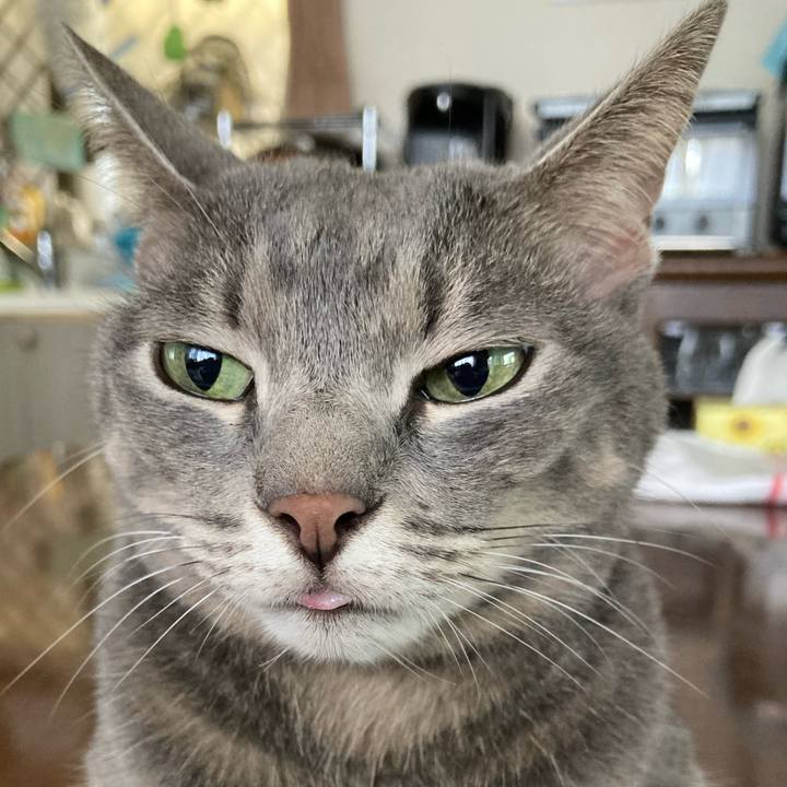 A4a99669 053f 4ae2 930e a3b5e7084310 1724547084804